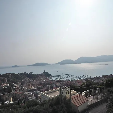 Tino Lerici